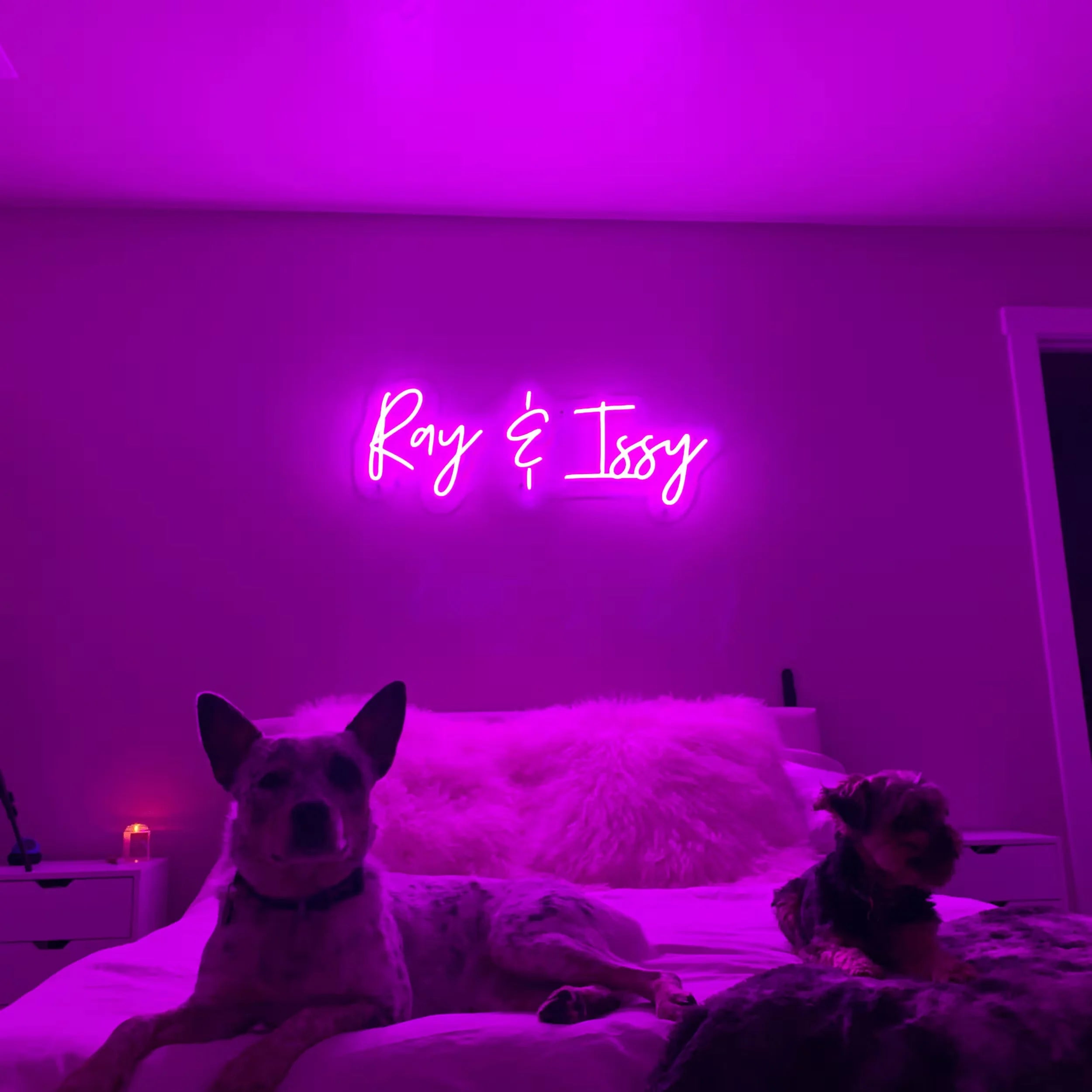 Pet Special Room Decor Neon Light